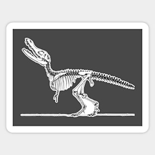 Sketch of a Museum Quality Dinosaur Skeleton Fossil Magnet